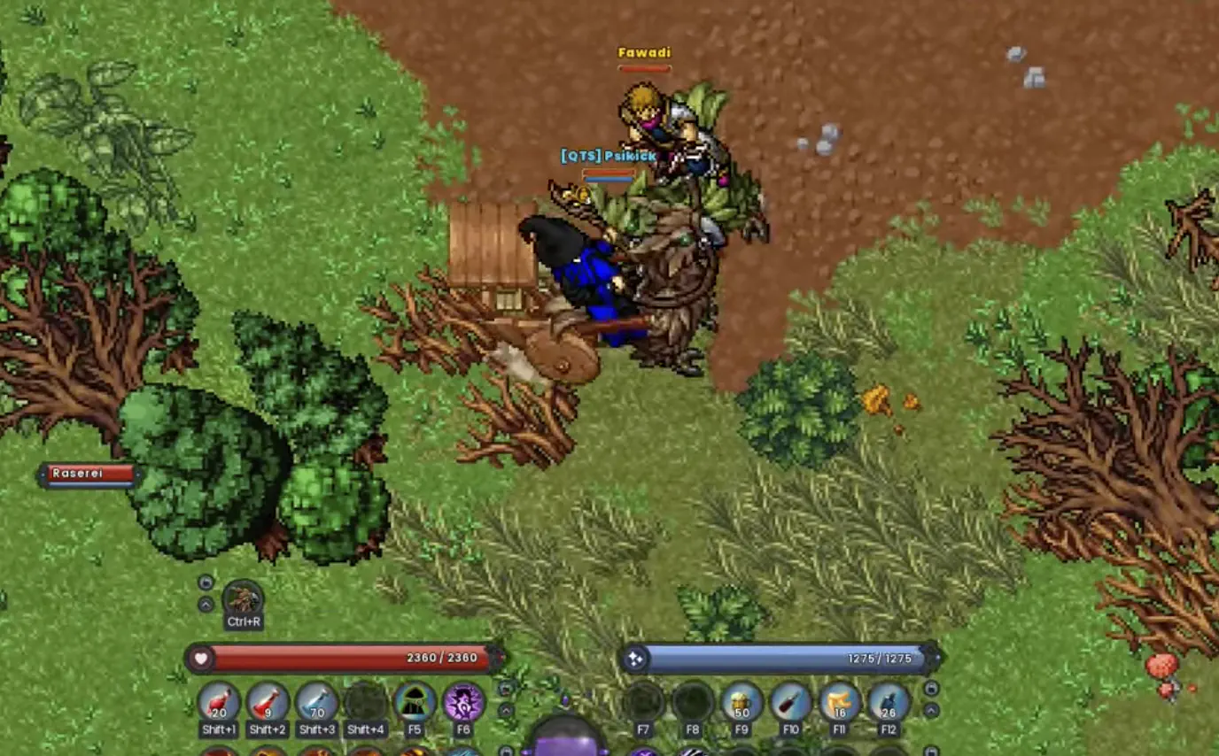 Ravendawn Online