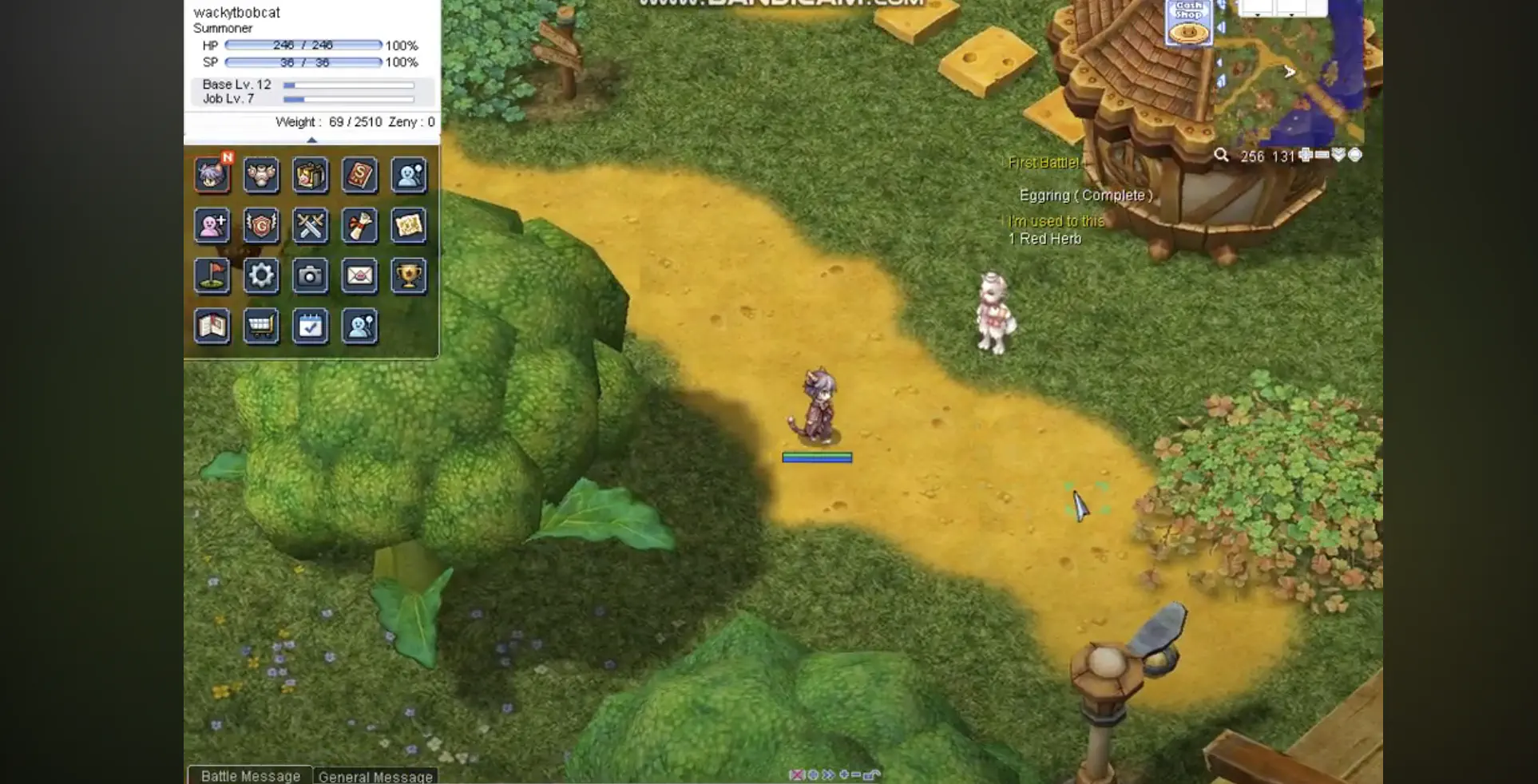 Gameplay de Ragnarok Online